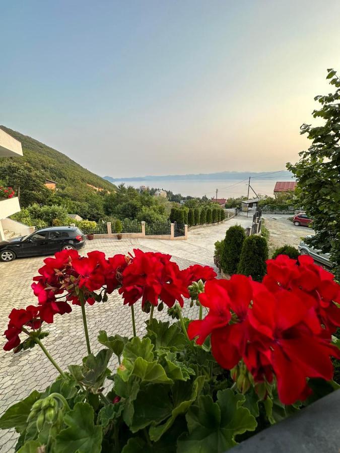 Villa Stefanoski Konjsko Екстериор снимка