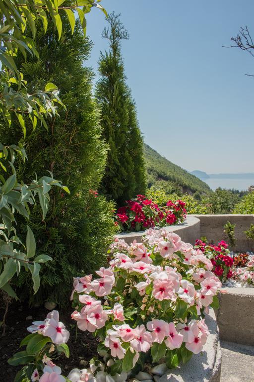 Villa Stefanoski Konjsko Екстериор снимка